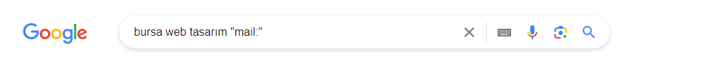 Google search operator example